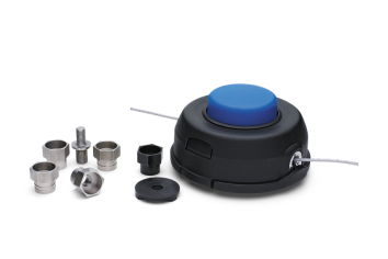 Daisy on the Ohoopee