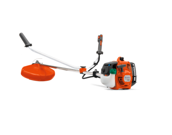 Daisy on the Ohoopee